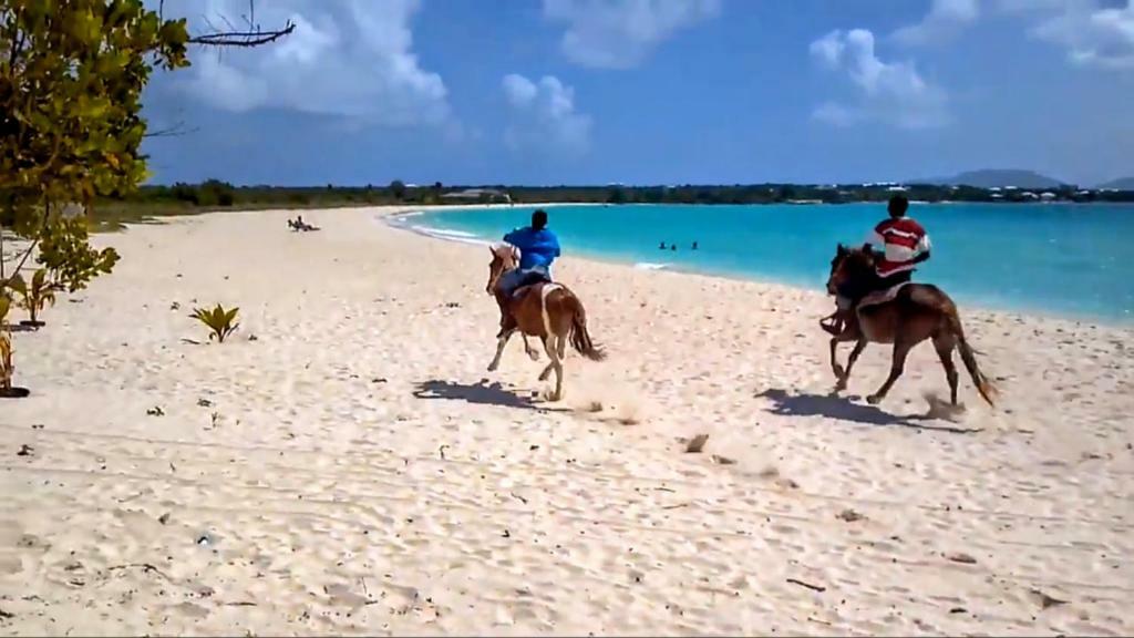 White Sands Anguilla - Sea Blowing Point Village Dış mekan fotoğraf